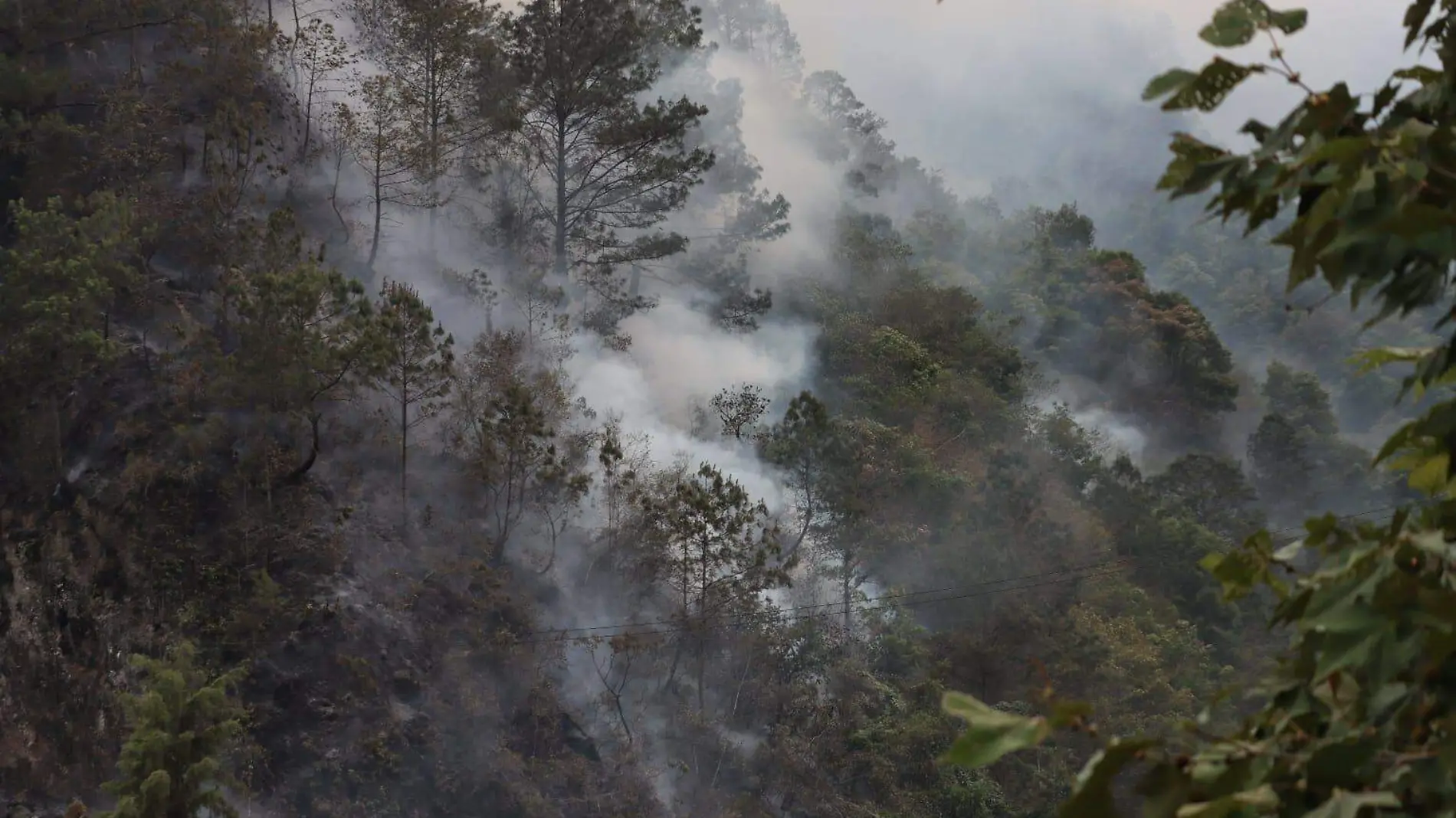 ricardo incendio barranca